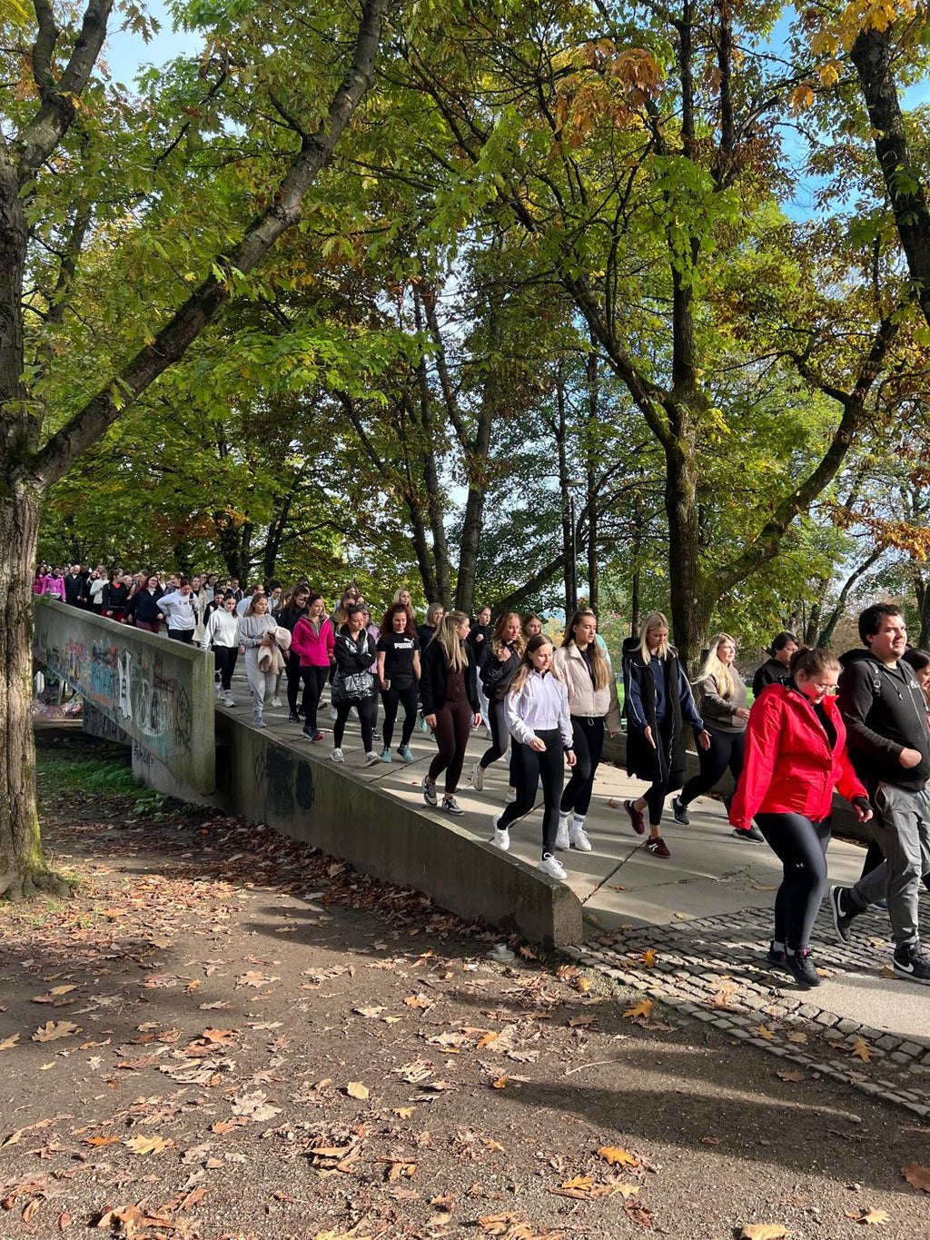 SWY WALKING CLUB